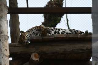 DSC_8545.JPG