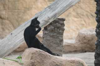 DSC_8557.JPG