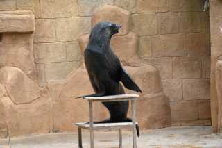 DSC_8713.JPG
