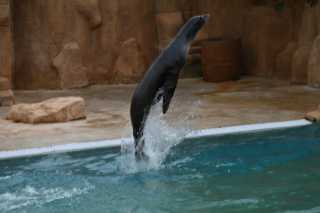 DSC_8763.JPG
