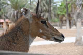 DSC_8961.JPG