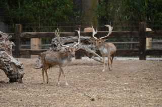 DSC_8972.JPG