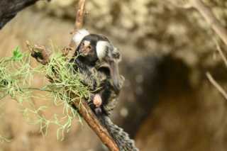 DSC_9166.JPG