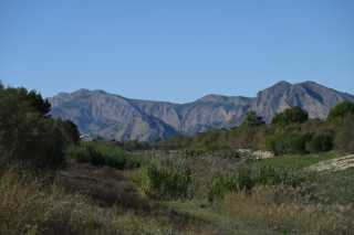 DSC_9351.JPG