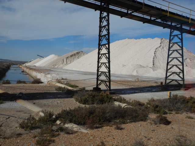 DSCN7253.JPG