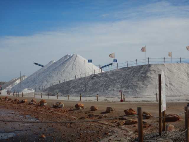 DSCN7293.JPG
