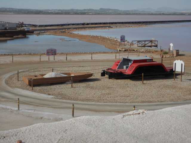 DSCN7306.JPG
