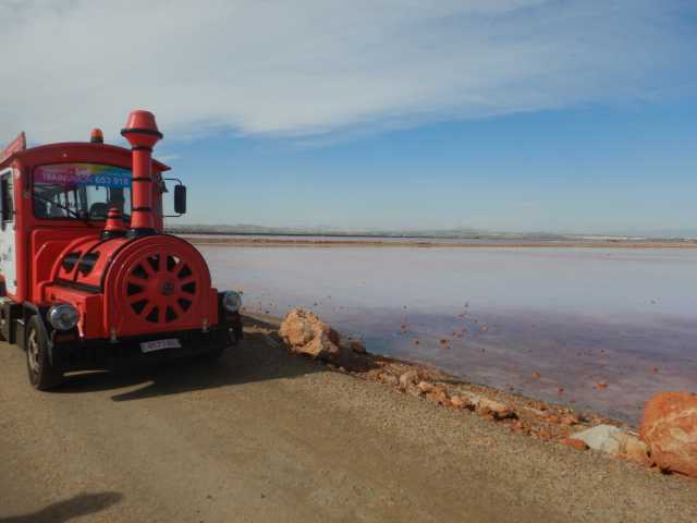 DSCN7315.JPG