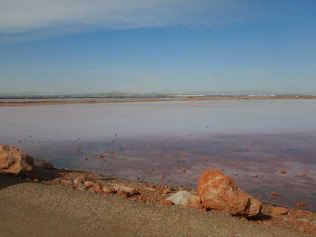 DSCN7316.JPG