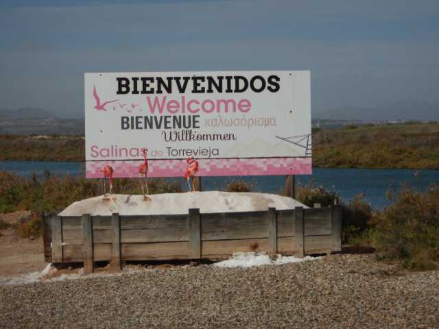 DSCN7323.JPG