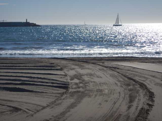 DSCN7326.JPG