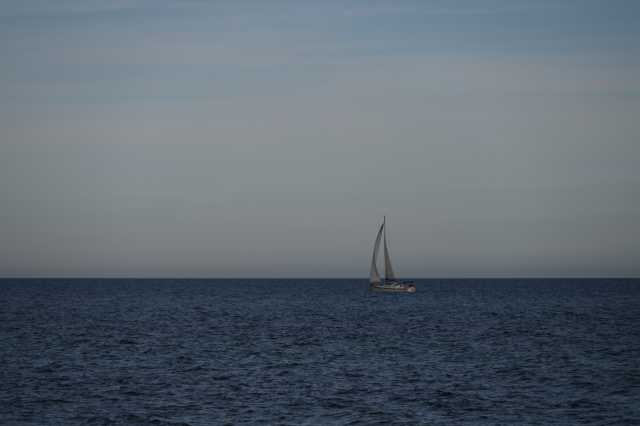 DSC_8367.JPG