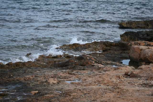 DSC_8370.JPG