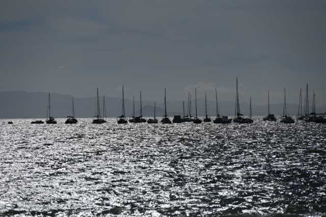DSC_8395.JPG