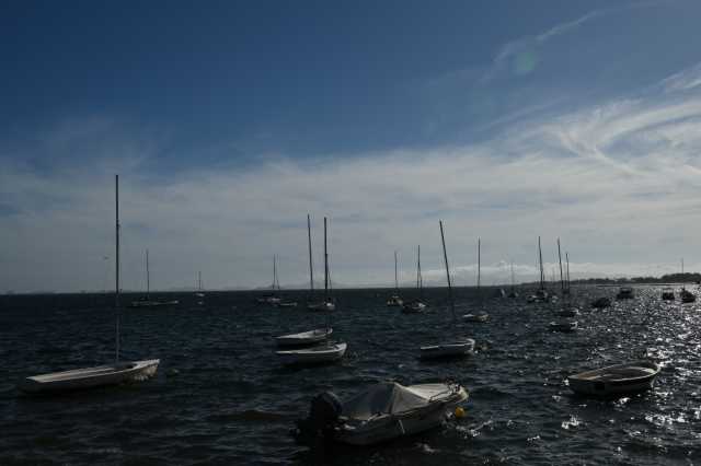 DSC_8404.JPG