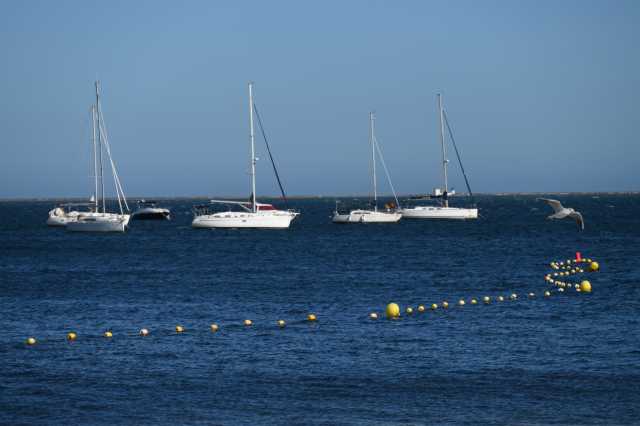 DSC_8413.JPG