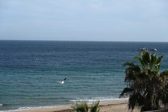 DSC_8451.JPG