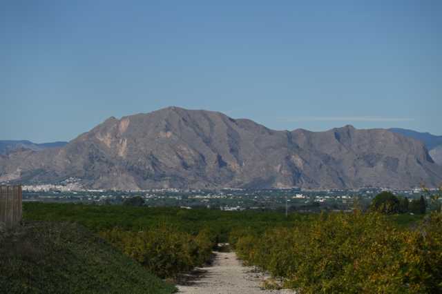 DSC_8526.JPG