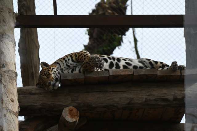 DSC_8545.JPG