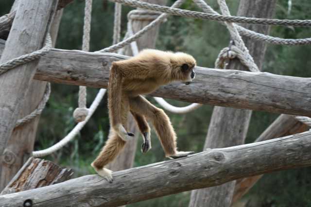 DSC_8805.JPG