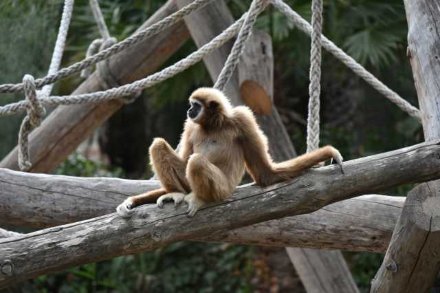 DSC_8811.JPG