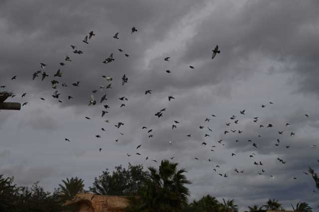 DSC_8839.JPG
