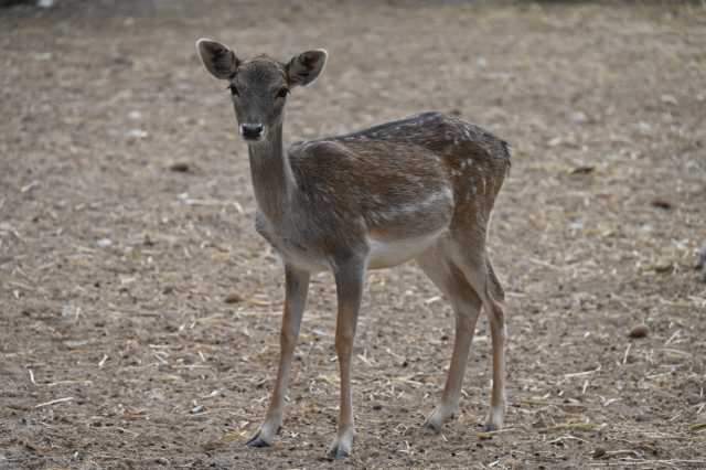 DSC_9002.JPG