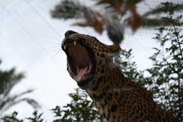 DSC_9030.JPG