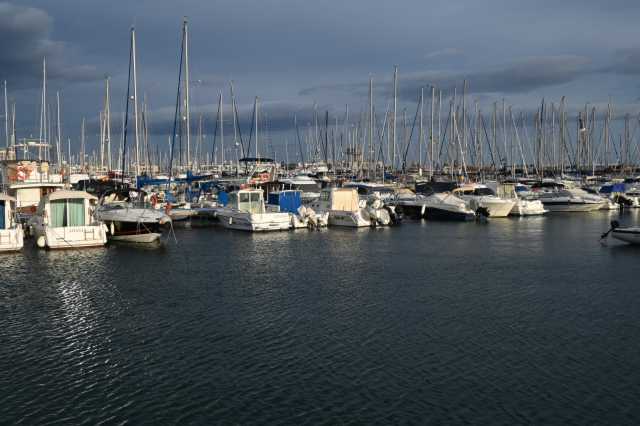 DSC_9207.JPG