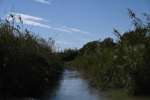 DSC_9330.JPG