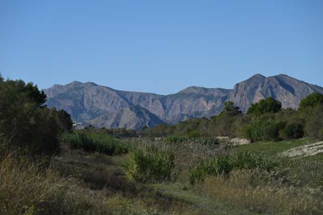 DSC_9351.JPG