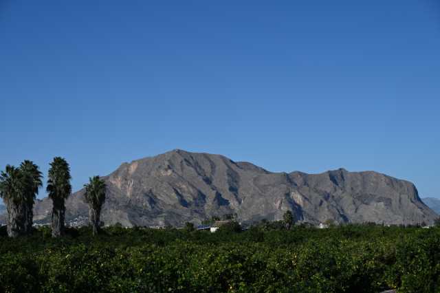 DSC_9367.JPG