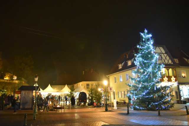 DSC_2763.JPG