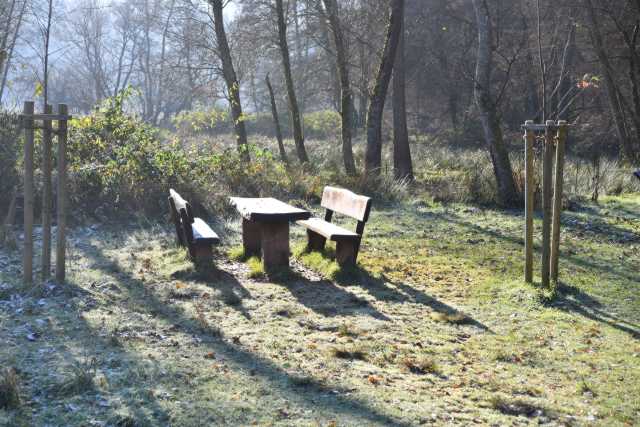 DSC_2811.JPG
