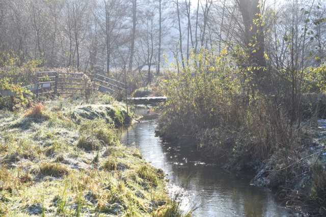 DSC_2818.JPG