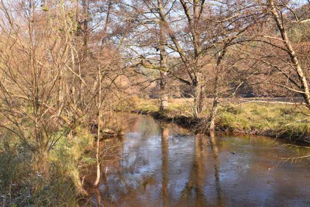 DSC_2836.JPG