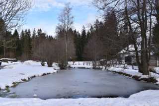 DSC_2849.JPG