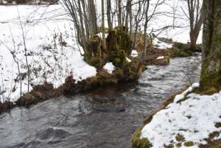 DSC_2862.JPG