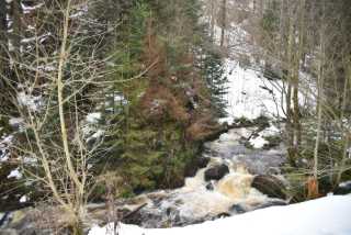 DSC_2876.JPG