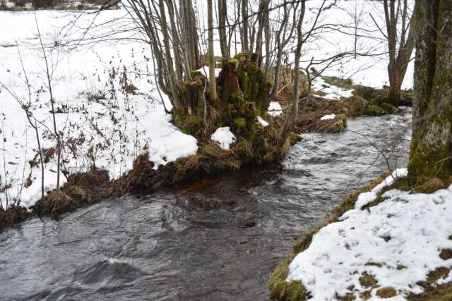 DSC_2862.JPG