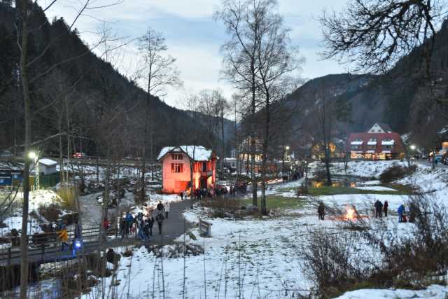 DSC_2890.JPG