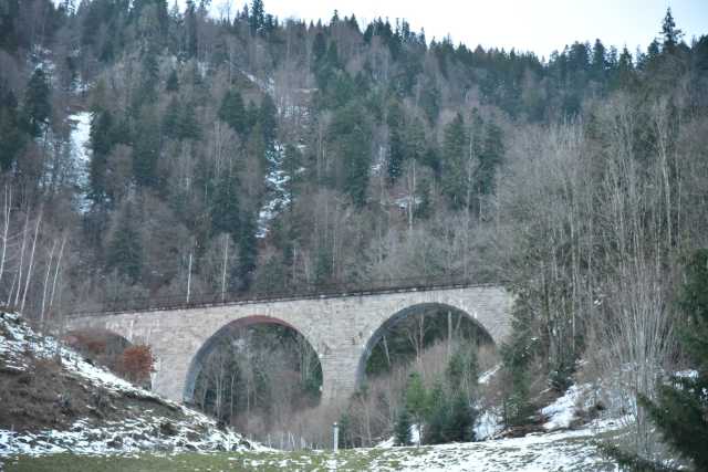 DSC_2894.JPG