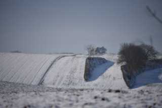 DSC_2948.JPG