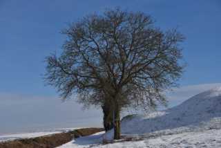 DSC_2949.JPG