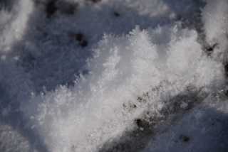 DSC_2952.JPG