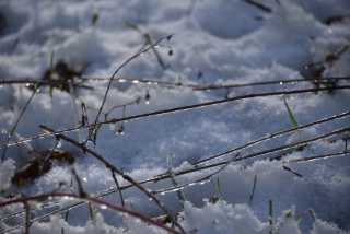 DSC_2955.JPG