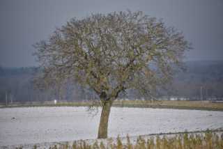 DSC_2972.JPG