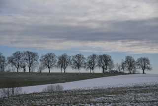 DSC_3013.JPG