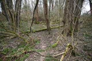 DSC_9546.JPG