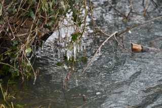DSC_9555.JPG